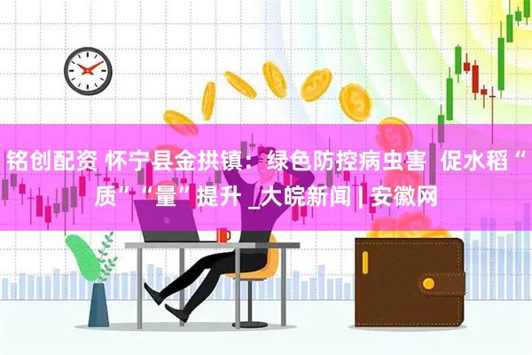 铭创配资 怀宁县金拱镇：绿色防控病虫害  促水稻“质”“量”提升 _大皖新闻 | 安徽网