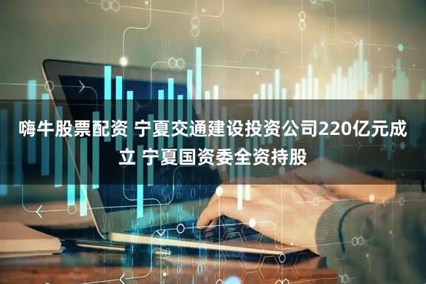 嗨牛股票配资 宁夏交通建设投资公司220亿元成立 宁夏国资委全资持股
