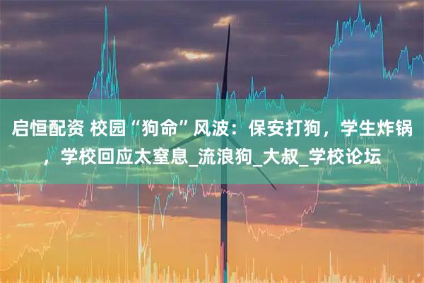 启恒配资 校园“狗命”风波：保安打狗，学生炸锅，学校回应太窒息_流浪狗_大叔_学校论坛